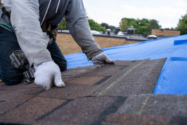 Best Roof Waterproofing Services  in Lake Wildwood, CA