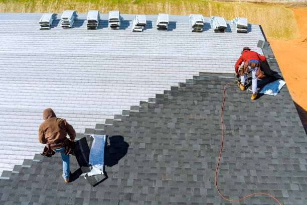 Best Metal Roofing Contractor  in Lake Wildwood, CA