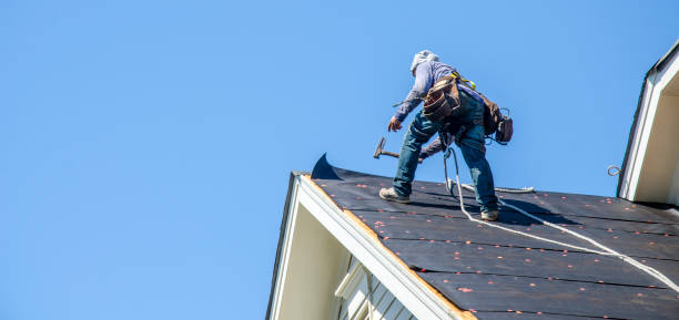 Best Roof Leak Repair  in Lake Wildwood, CA
